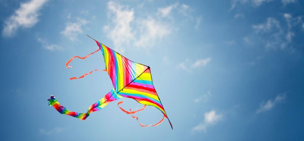 Kite in the sky at the Atlanta World Kite Festival in Piedmont Park